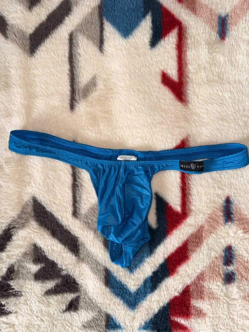 Gregg Homme Blue Men's Microfiber Brief